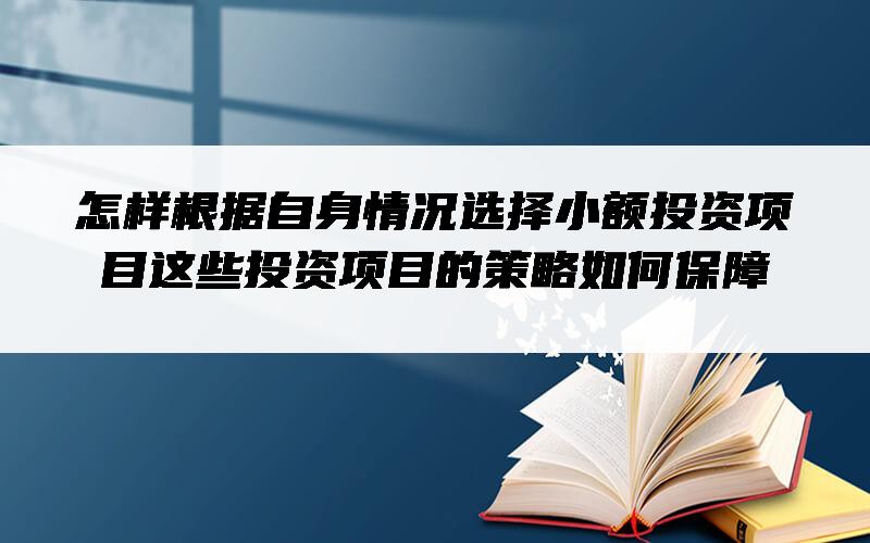 怎样根据自身情况选择小额投资项目？这些投资项目的策略如何保障？